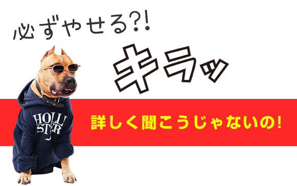 パーソナルジムのトレーナーに教えてもらった必ず痩せる方法