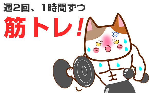 週2回、気合いの筋トレ