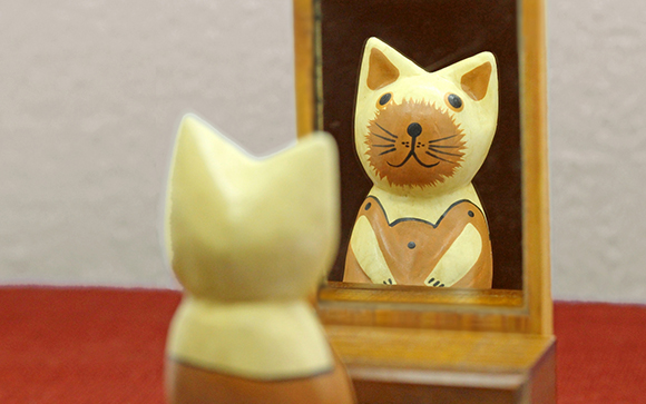 ①自分はルックス売りでいけそう？