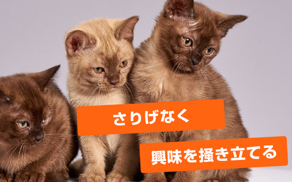デオドラントやマウスウォッシュを使ってもらう方法