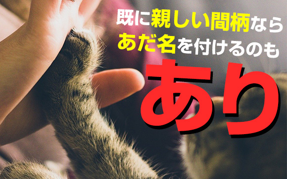 あだ名をつけちゃう