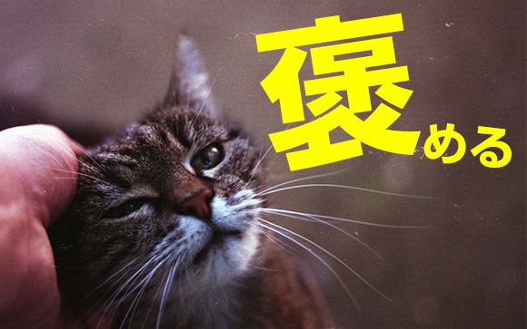 良いところを見つけて褒める