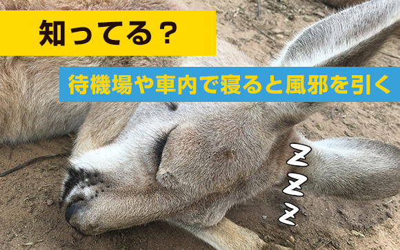 知ってる？「待機場や車内で寝ると風邪を引く」を防ぐ方法