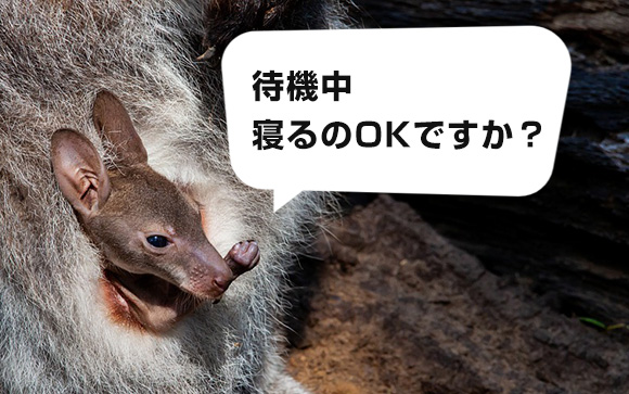 待機場で仮眠OK/NGはお店次第