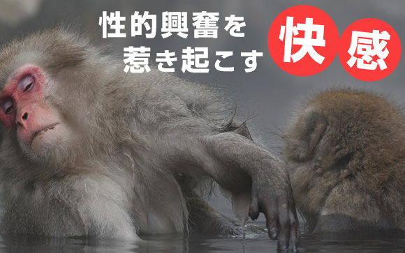 性感風俗とは