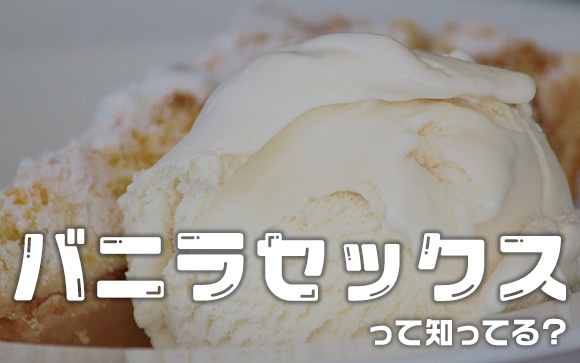セックスはしない！バニラセックスって知ってる？