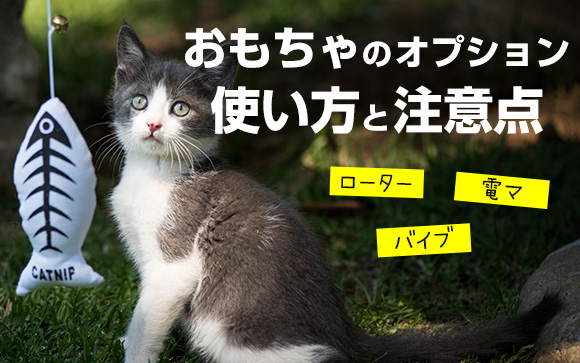 おもちゃのオプション入りました！使い方と注意点を解説