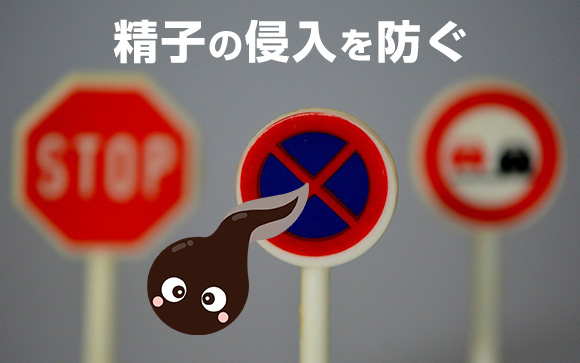 避妊リングとは
