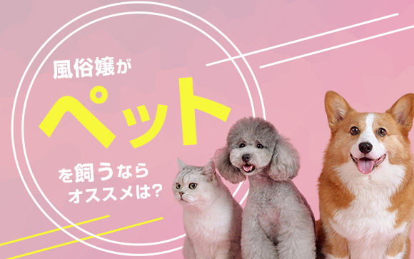 夜職・一人暮らしでも飼える？風俗嬢がペットを飼うならオススメは？