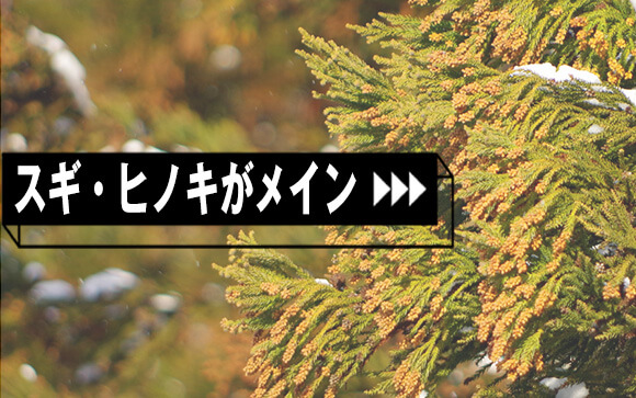 花粉の種類と時期