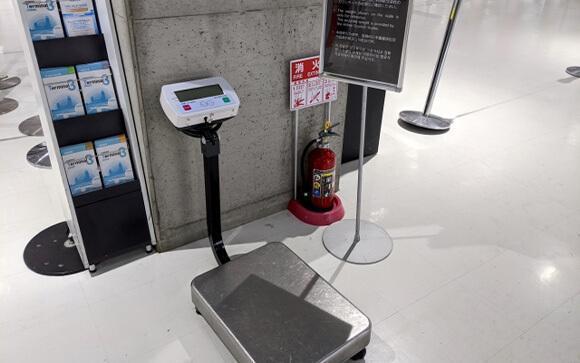 ブタカバンは損をする?LCCも新幹線も特大荷物は別料金