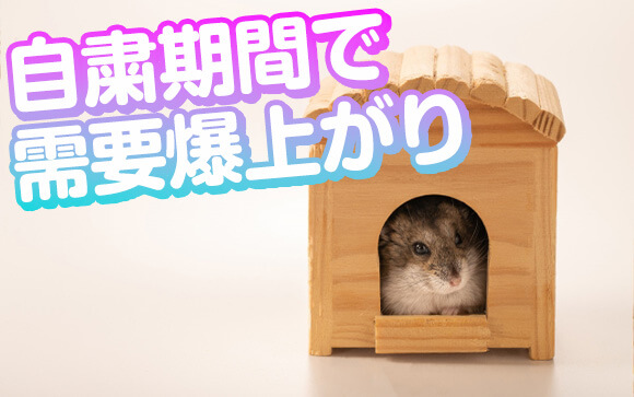コロナ禍で話題になったメールレディのお仕事