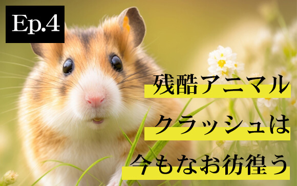 残酷アニマルクラッシュは今も彷徨っている