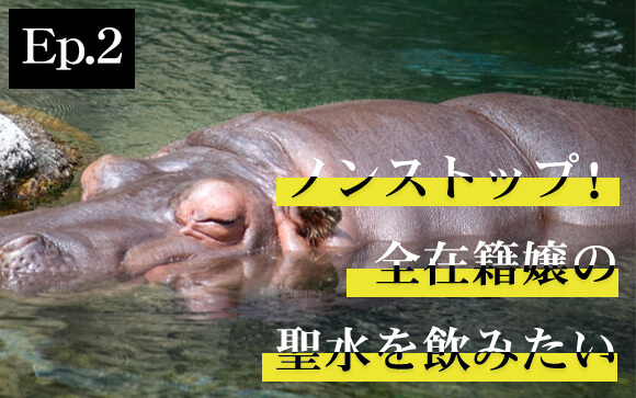 ノンストップ！在籍全員の聖水を飲みたい「カバです！」