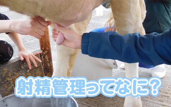 射精管理とは？