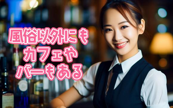 風俗以外でも業種はたくさん