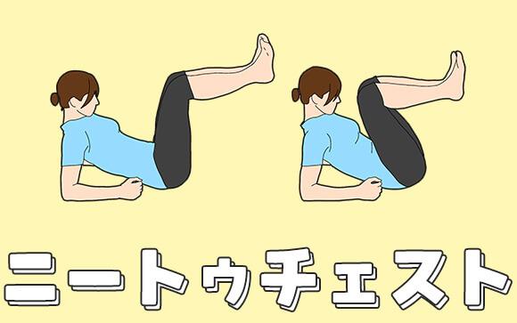 【ニートゥチェスト】
