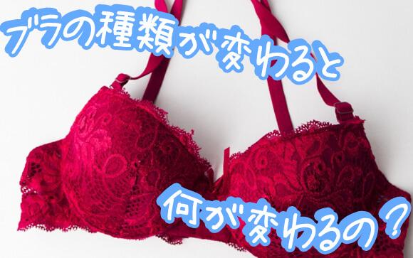 ブラの種類ごとに何が変わる？