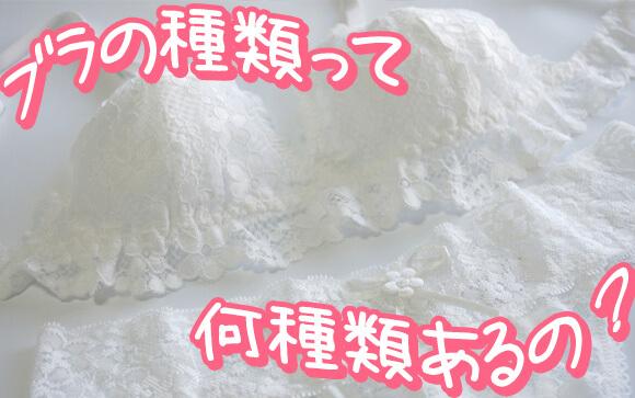 ブラの種類って何種類あるの？