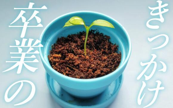 みんなどのタイミングで辞めたの？
