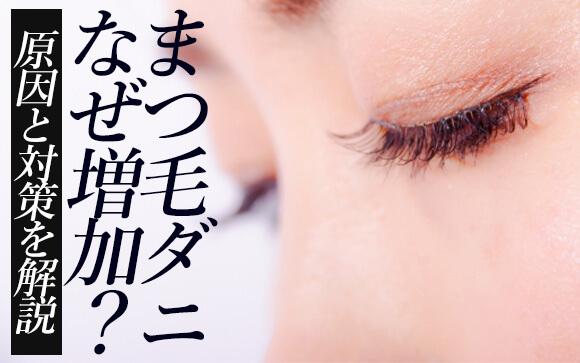 「まつ毛ダニ」増加中？！目元のトラブルの原因とは？