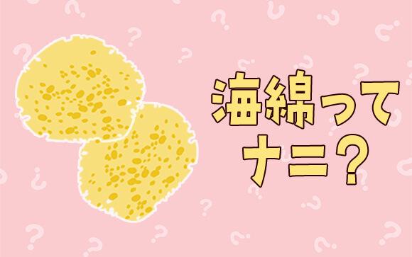 海綿ってなに？どう使うの？