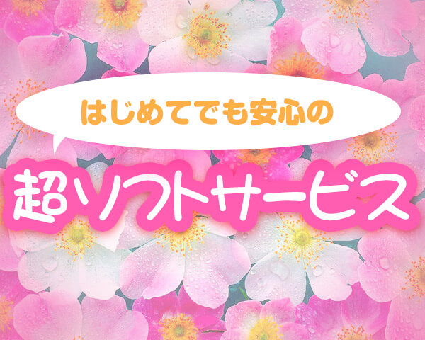 初めてでも安心のソフトサービス求人特集