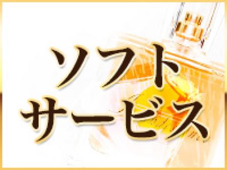 業界屈指のソフトサービス