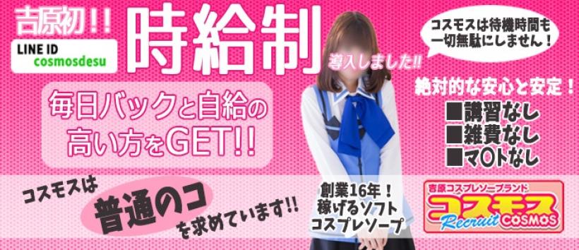 コスモス