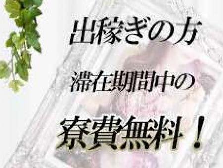 無料なんですよ♪