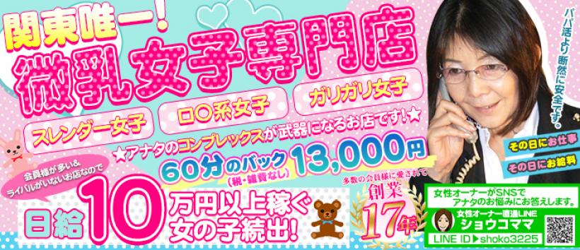 Aカップ微乳女学園の求人