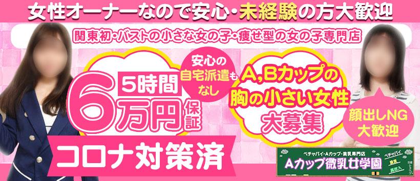 Aカップ微乳女学園