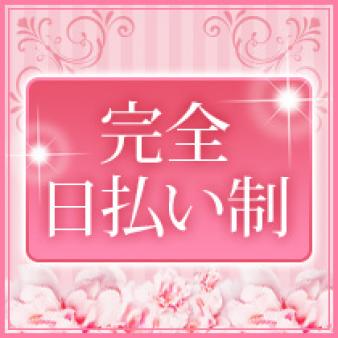 完全日払い制
