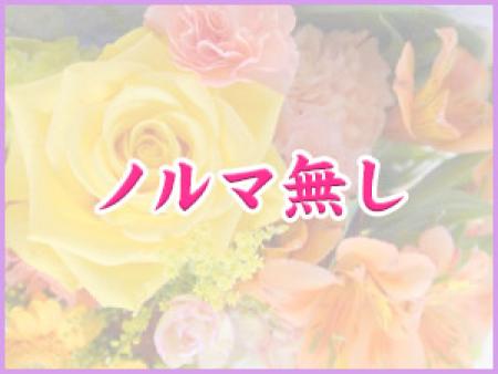 ノルマはありません。