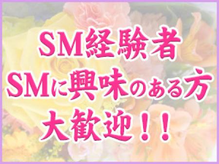 SMにちょっぴり興味のある素敵な大人の女性大募集!