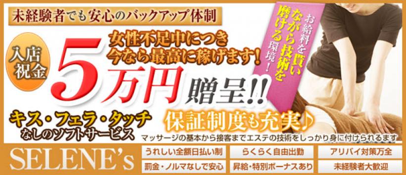品川セレネズの求人