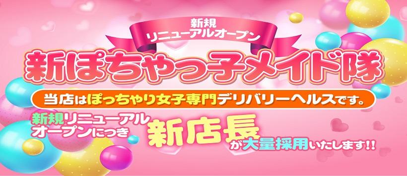 新ぽちゃっこメイド隊の求人