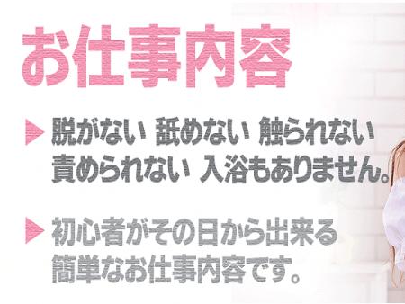┃脱がない┃舐めない┃触られない┃入浴しません┃