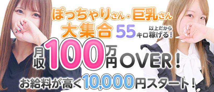 新宿マシュマロの求人