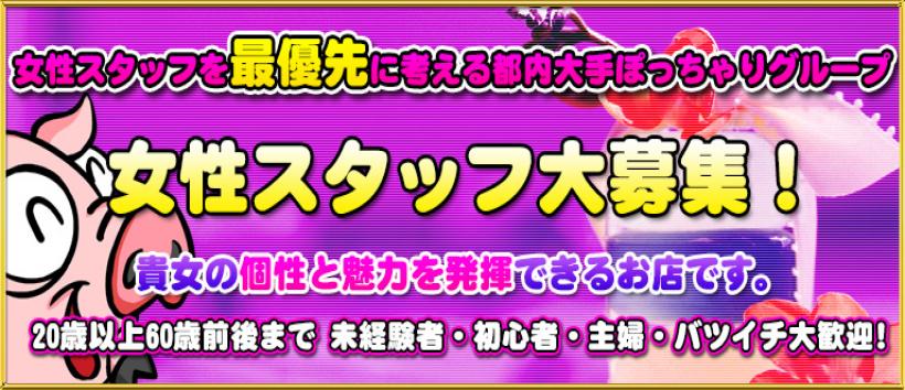 町田デブ専肉だんごの求人