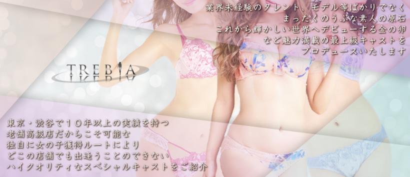 トレビアの求人