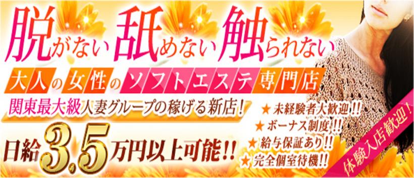 新宿回春性感手コキ熟れっ女の求人