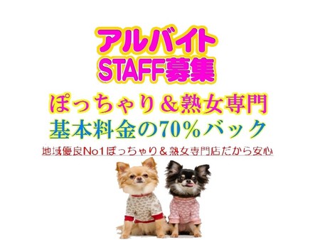 求ム!ぽっちゃりさん&熟女さん急募中!