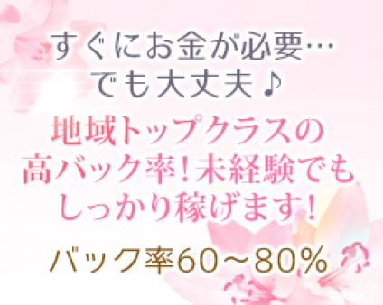高バックをお約束