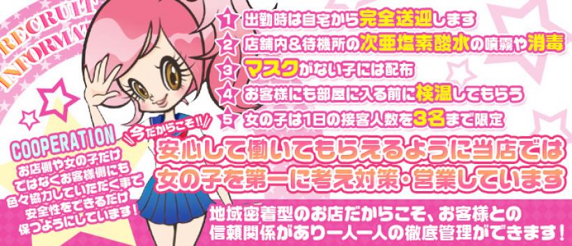 柏なでし娘の求人