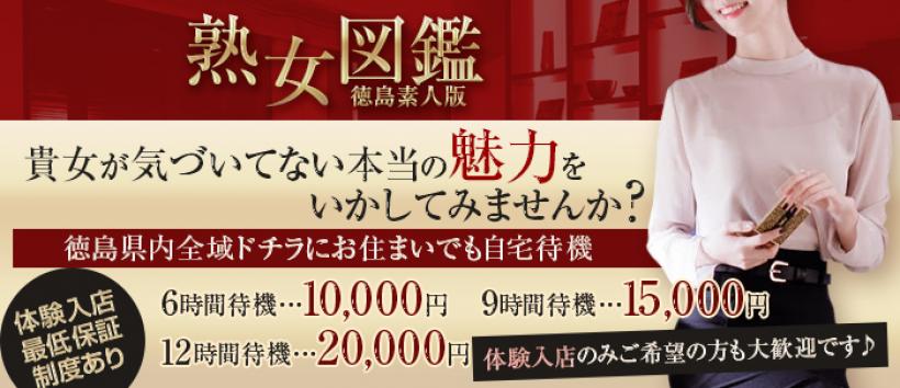 熟女図鑑 徳島素人版の求人