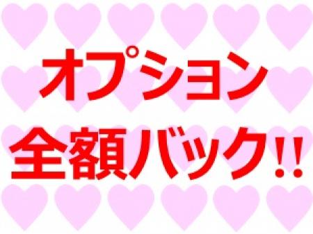 オプション料