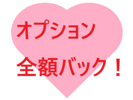オプション料