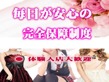 完全保障制