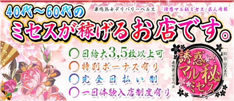誘惑マル秘ミセスの求人